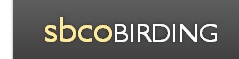 sbcoBIRDING